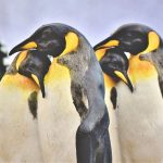 Gerenciamento de usuários e grupos Linux